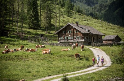 Familie beim Wandern im Almengebiet von Flachau