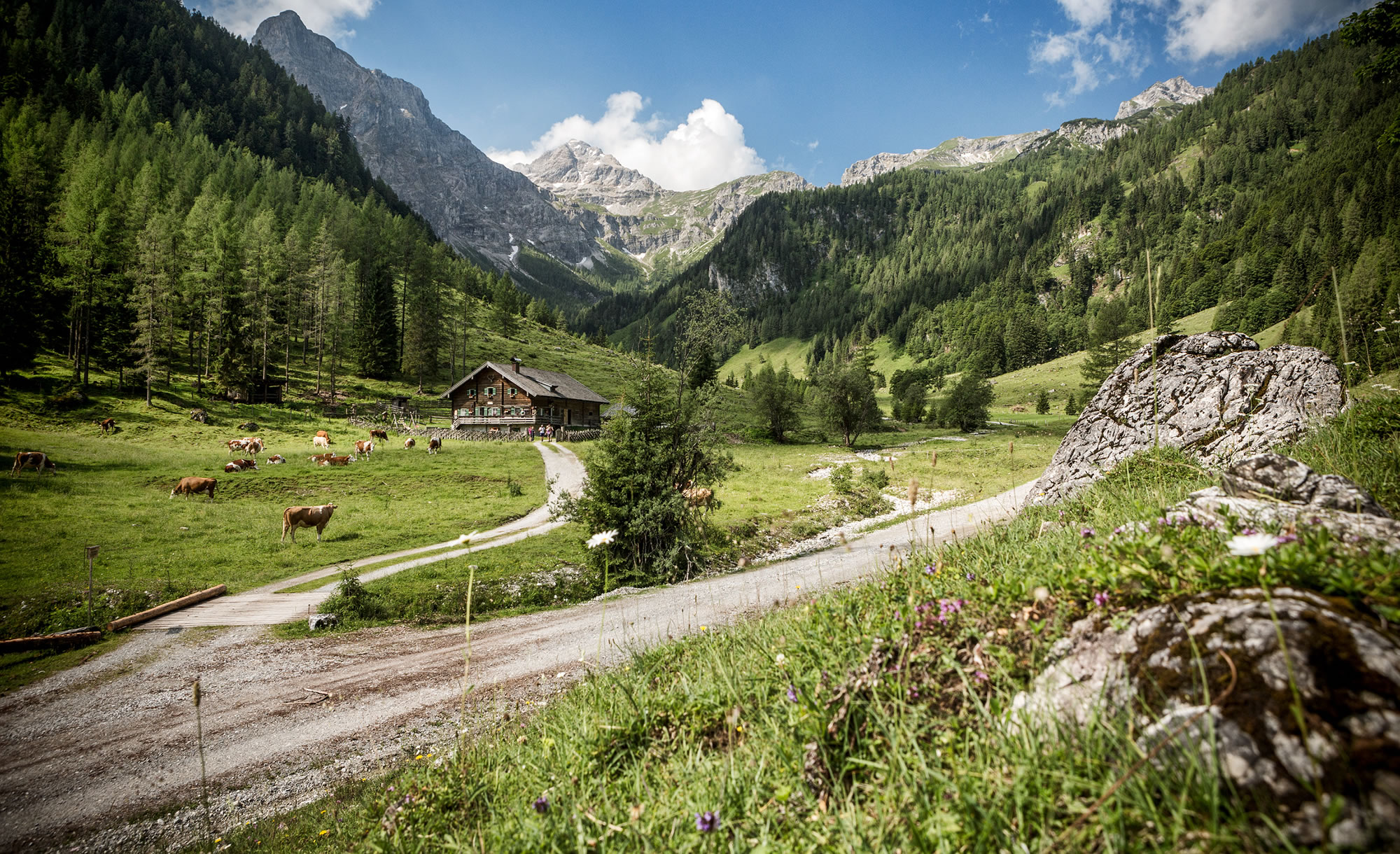 Wandern im Marbachtal, Flachau